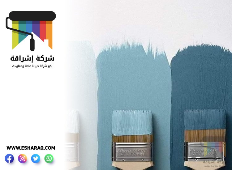 صباغ في البليدة