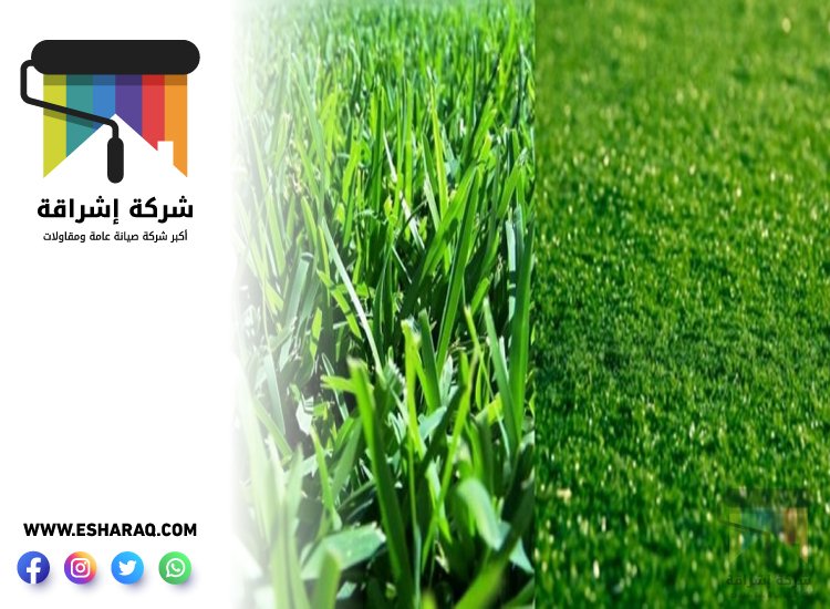 تركيب عشب صناعي في الفجيرة 9 تركيب عشب صناعي في الفجيرة